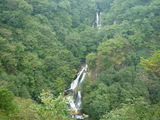 2009SW 086_1_1_1_1