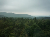 2009SW 092_1_1_1_1