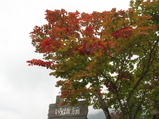 �ڸ����� (2)_14_1_4_1