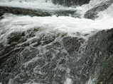 ζƬ������ʢ (9)_12_1_7_1
