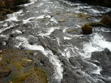 2009SW 178_2_1_2_1