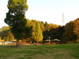 Nov21st 022_6_1_6_1
