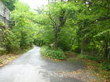 �����ꥢ (24)_15_1_15_1