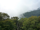 2009SW 109_3_1_2_1