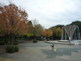 BlogPaint