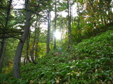 Oct10 085_7_1_7_1
