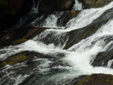 2009SW 173_1_1_1_1