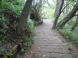 ̸�ߤ��� (14)_5_1_4_1