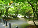 �����ꥢ (22)_14_1_14_1