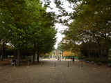 Oct17th 017_7_1_6_1