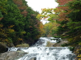 2009SW 171_6_1_6_1