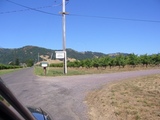lolonis1