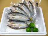 20060409