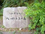 ensoku3