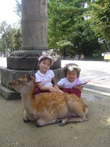 nara013