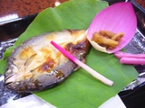 somayama8