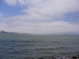 sfbay8