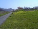 hinogawana