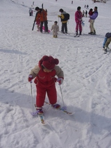 ski1