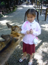 nara6