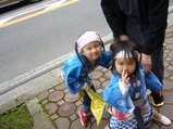 hachi
