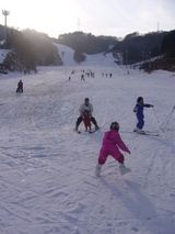 ski7