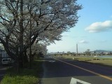 hinogawahashi