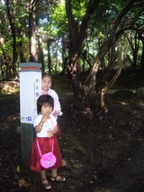 nara3