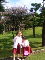 nara9