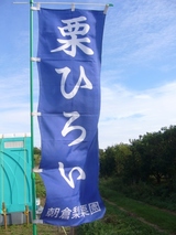 kuri13