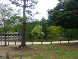 nara-12