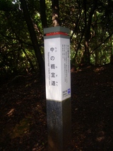 nara2