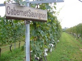 katu18