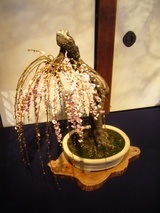 盆梅展８