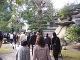 盆梅展３