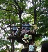 ensoku7