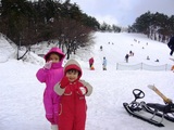 ski3