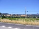 mendocino