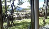 図書館
