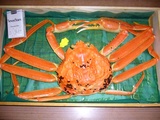 おす