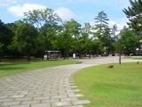 nara-2