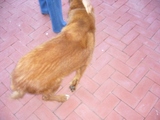 pa9