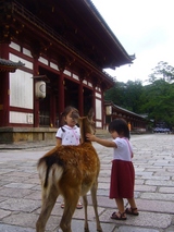nara01