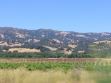 mendocino