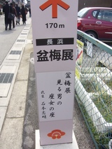 盆梅展