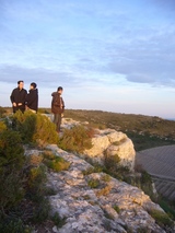 hos-4