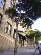 sf2