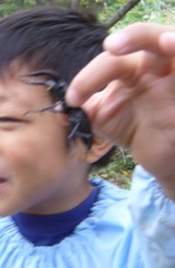 ensoku6