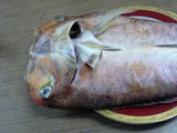 ぐじ