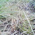 20050326_1246_000.jpg